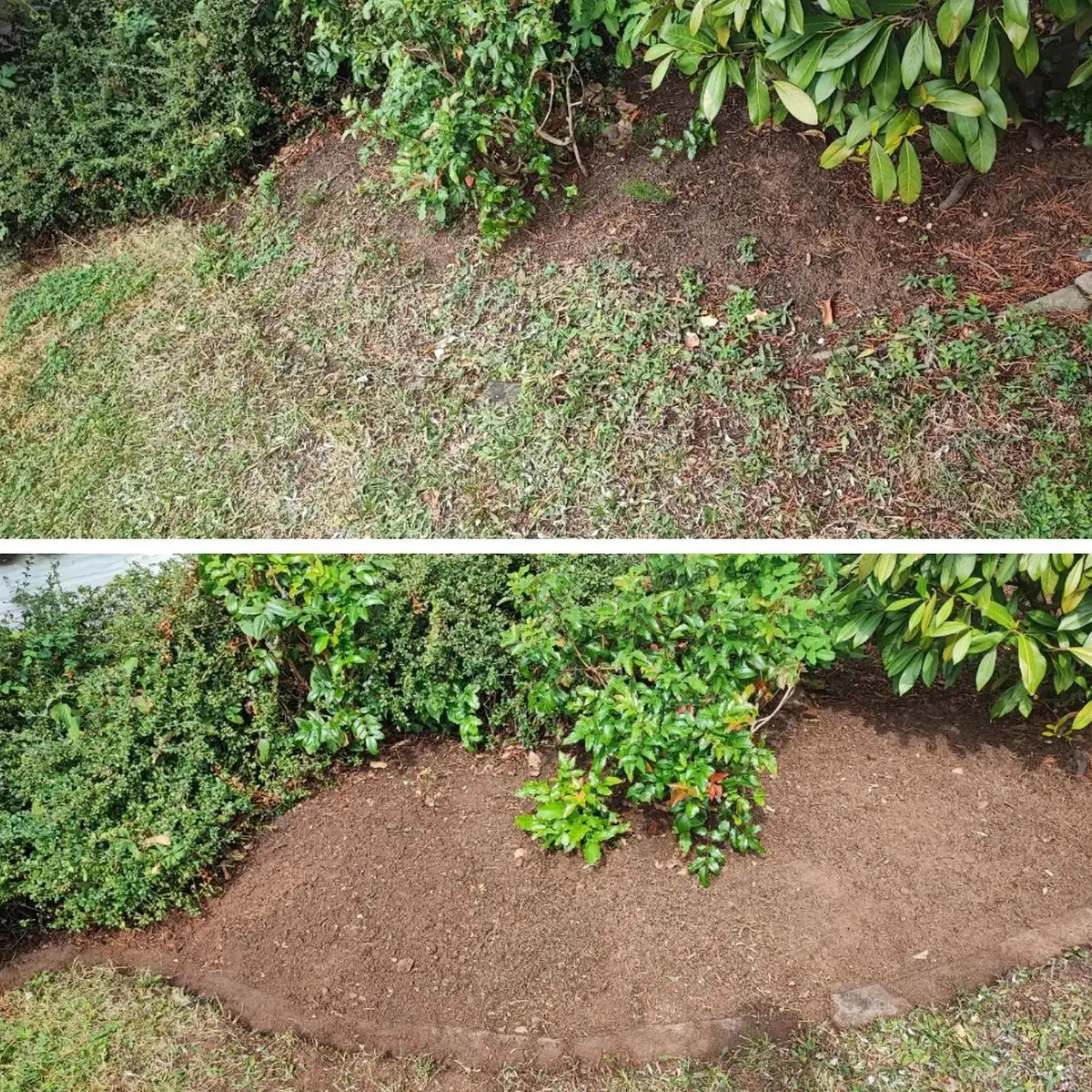 Die Gartenfee, Garten vor und nach der Grasreinigung