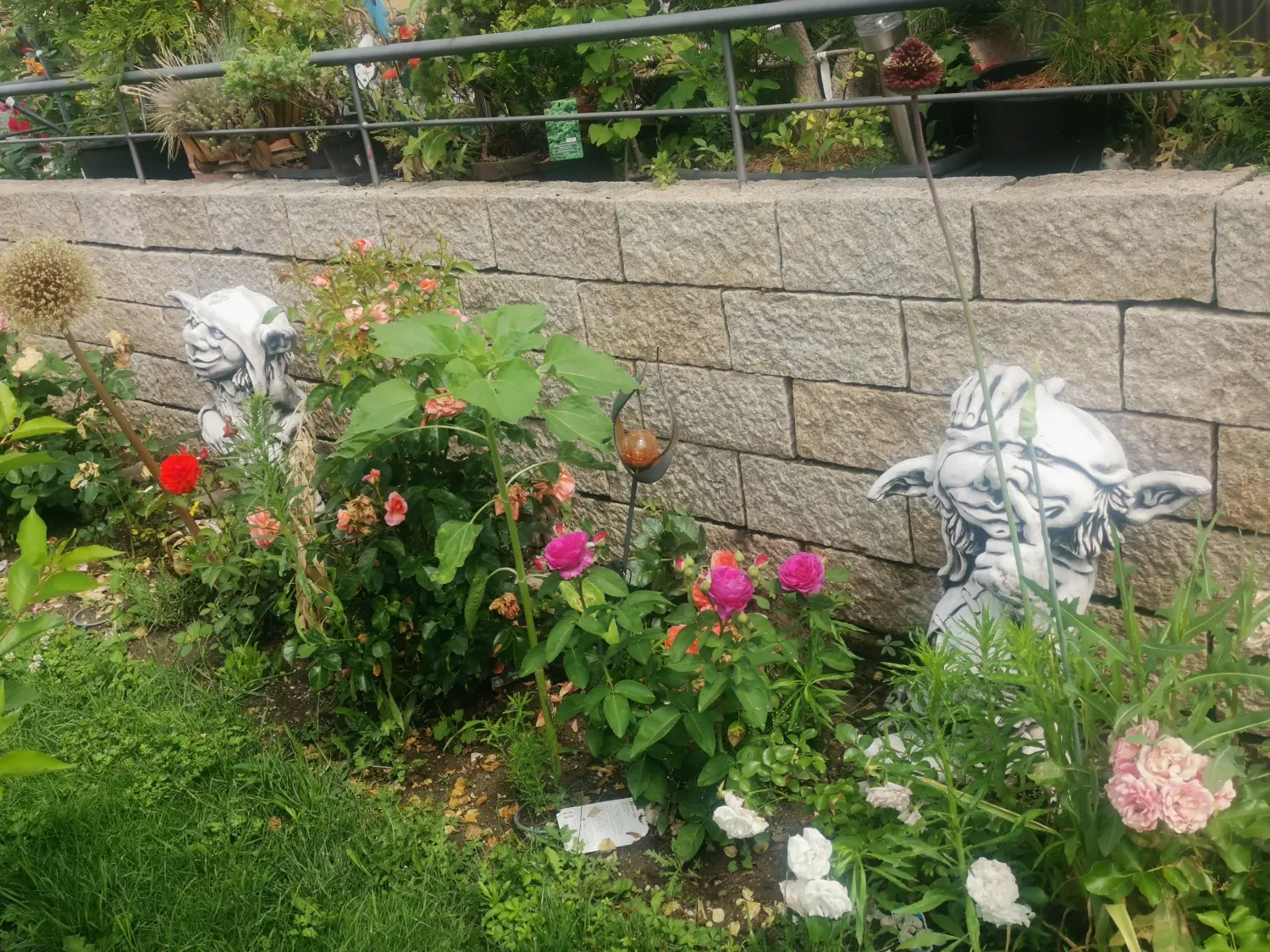 Die Gartenfee, rosafarbene Rosen und Pflanzen