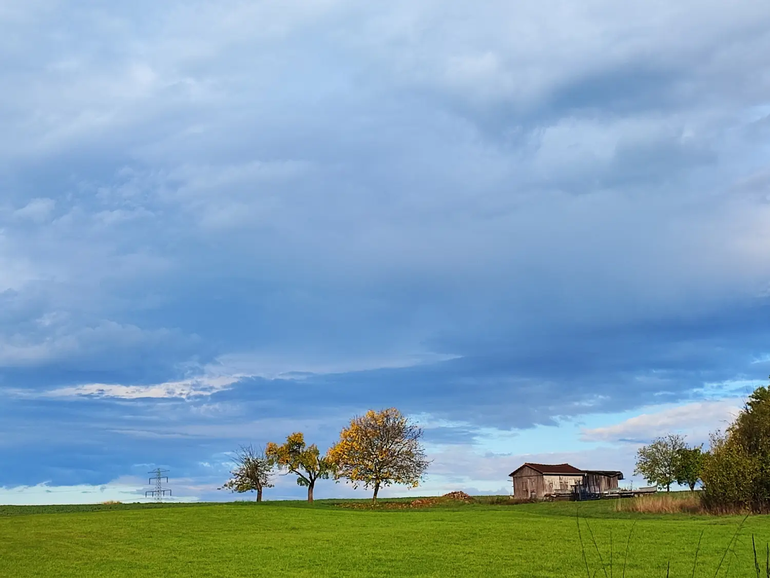 Die Gartenfee,
