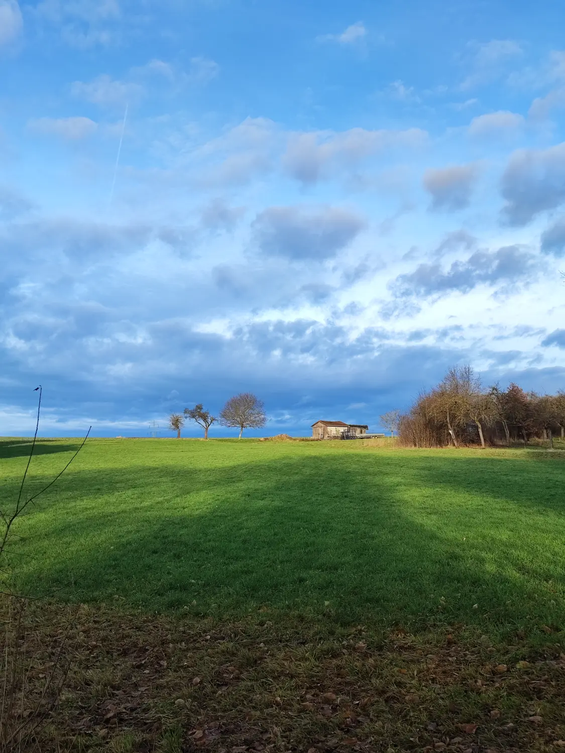 Die Gartenfee, Landschaft und eine Hütte