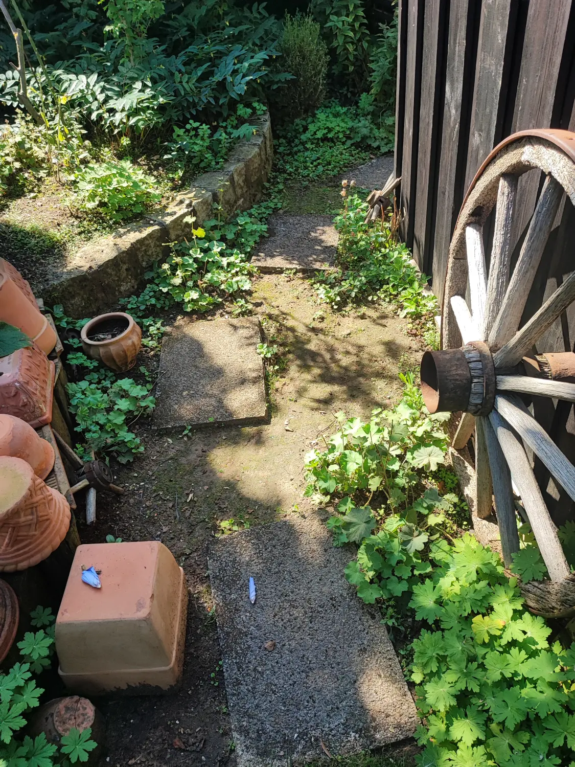 Die Gartenfee, Blumentöpfe, Garten nach der Reinigung